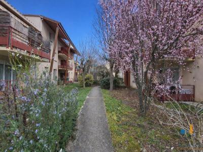 For sale Saint-alban 2 rooms 37 m2 Haute garonne (31140) photo 0