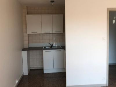 Annonce Location 2 pi�ces Appartement Toulouse 31