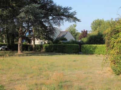 Annonce Vente Terrain Ecouflant 49