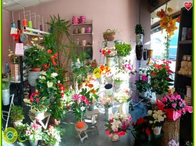 Annonce Vente Local commercial Neuvy-sur-barangeon 18