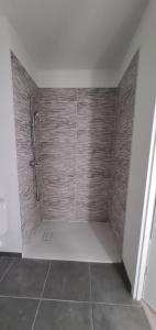 Louer Appartement 42 m2 Nancy