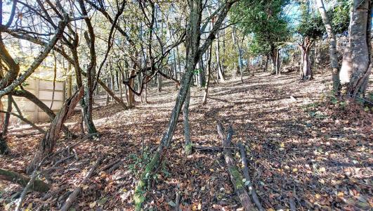 Acheter Terrain Saint-pierre-la-palud 10000 euros