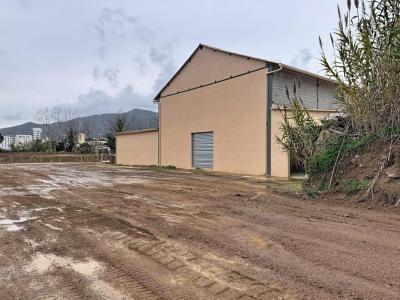 Annonce Location Commerce Ajaccio 20