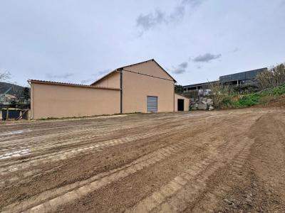 Louer Commerce 230 m2 Ajaccio