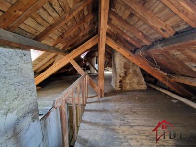 Annonce Vente Immeuble Bourbonne-les-bains 52