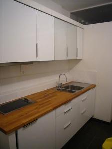 Louer Appartement 35 m2 Lyon-3eme-arrondissement