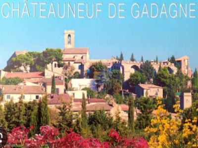 Annonce Vente Commerce Chateauneuf-de-gadagne 84