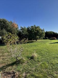 For sale 530 m2 Vendee (85340) photo 0