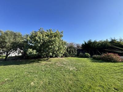 For sale 530 m2 Vendee (85340) photo 3