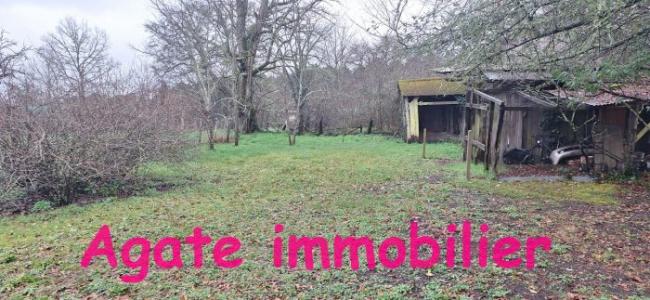 Annonce Vente 3 pi�ces Maison Captieux 33