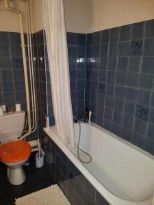 Louer Appartement Toulouse 597 euros