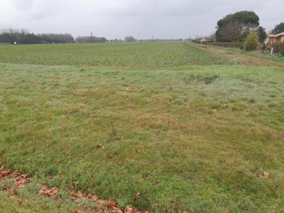 For sale Pout 670 m2 Gironde (33670) photo 0