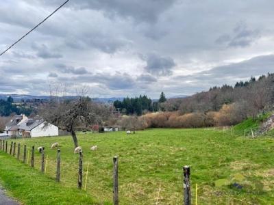 For sale Treignac 4954 m2 Correze (19260) photo 0