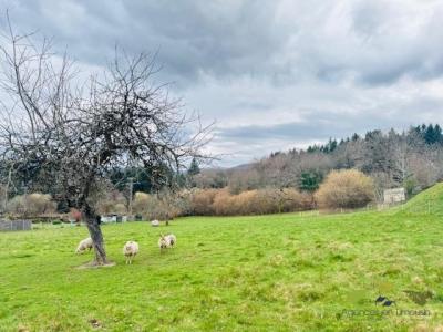 Acheter Terrain 4954 m2 Treignac