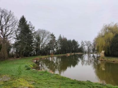 Annonce Vente Terrain  53