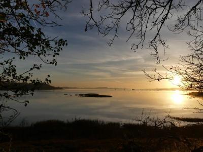 For sale Vannes 7 rooms 150 m2 Morbihan (56000) photo 0