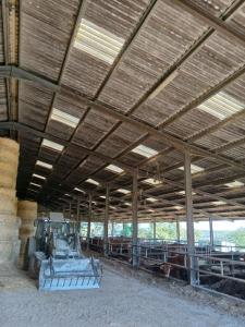 Annonce Vente Maison Ladignac-le-long 87