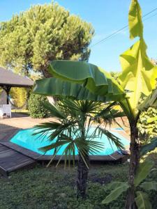 Acheter Maison 90 m2 Casteljaloux