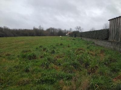 Annonce Vente Terrain Marne 44