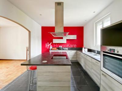 Acheter Maison 165 m2 Montauban