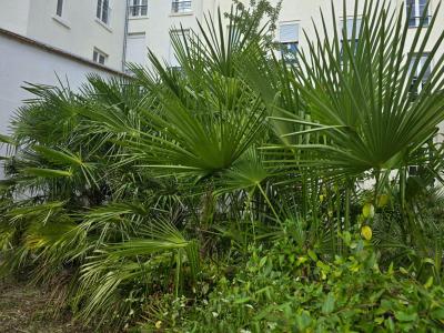 Acheter Appartement Vichy 139000 euros