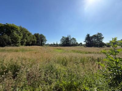 Annonce Vente Terrain Pluherlin 56
