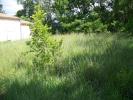For sale Land Lussan  600 m2