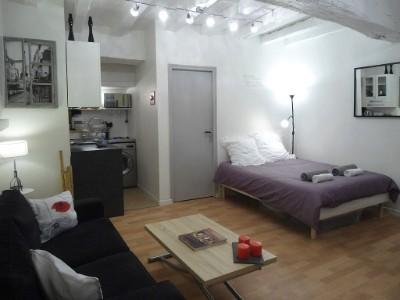 For rent Nantes 1 room 24 m2 Loire atlantique (44300) photo 2