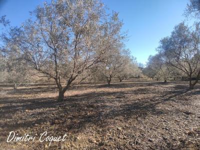 Acheter Terrain 3000 m2 Pouzolles