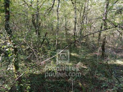 For sale Montgesty 32767 m2 Lot (46150) photo 3