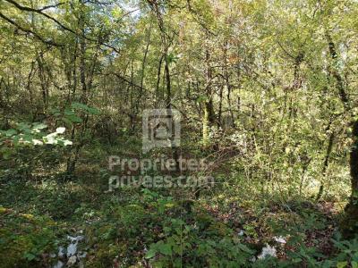 For sale Montgesty 32767 m2 Lot (46150) photo 4