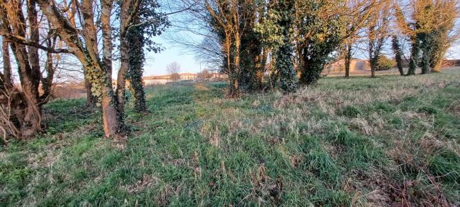 Annonce Vente Terrain Fontenay-le-comte 85
