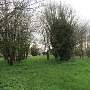 Acheter Terrain 4812 m2 Fontenay-le-comte