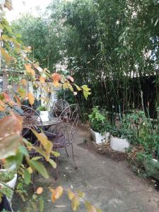 Acheter Appartement Nogent-sur-marne Val de Marne