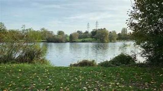 Annonce Vente Terrain Chalonnes-sur-loire 49