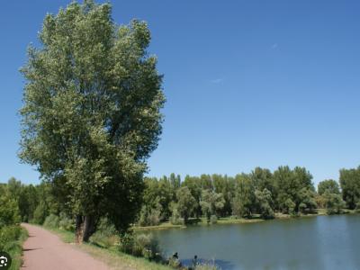 Annonce Vente Terrain Andrezieux-boutheon 42