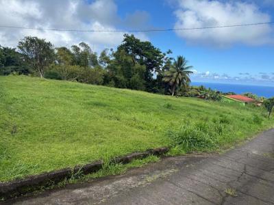 Annonce Vente Terrain Basse-pointe 972