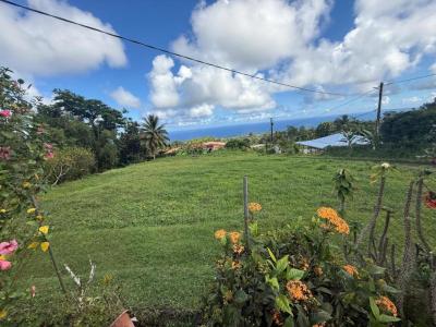 Acheter Terrain Basse-pointe Martinique