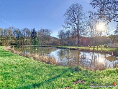 Annonce Vente 11 pi�ces Maison Nayemont-les-fosses 88