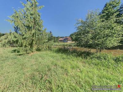 Acheter Maison Nayemont-les-fosses 432000 euros