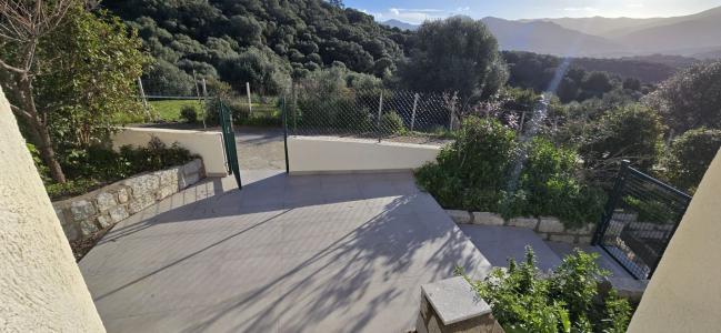 Acheter Appartement  Corse