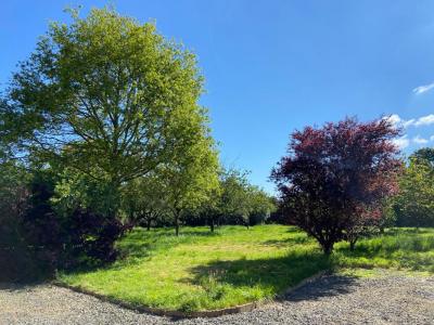 Acheter Maison Precigne 339007 euros