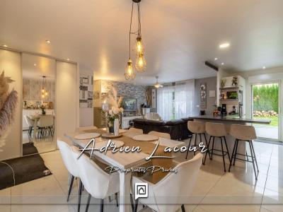 Annonce Vente 7 pi�ces Maison Pruniers-en-sologne 41