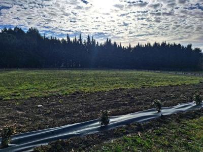 For sale Montreal 1500 m2 Aude (11290) photo 0