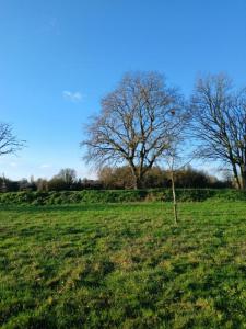 Acheter Maison 155 m2 Contigne