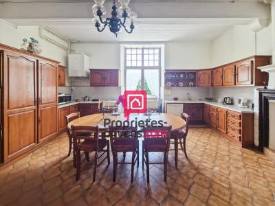 Acheter Maison 270 m2 Casteljaloux