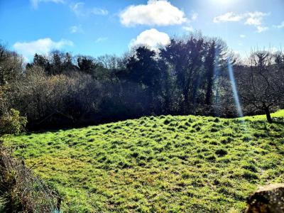 Annonce Vente 3 pi�ces Maison Lanvenegen 56