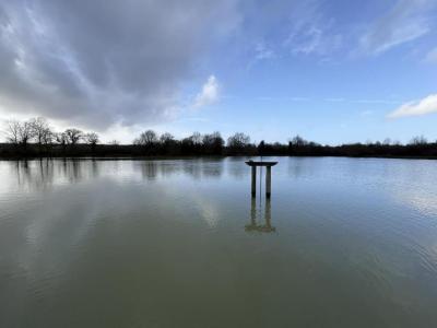 For sale Tendu 32767 m2 Indre (36200) photo 0