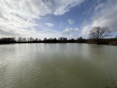 Annonce Vente Terrain Tendu 36