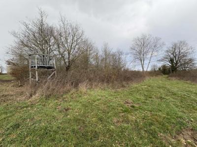 Acheter Terrain 32767 m2 Tendu